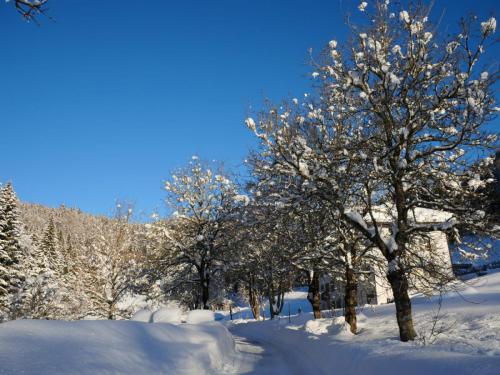 Passo Daone d'inverno ph V. Giovanella